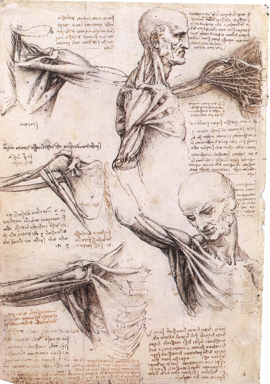 Leonardo+da+Vinci-1452-1519 (740).jpg